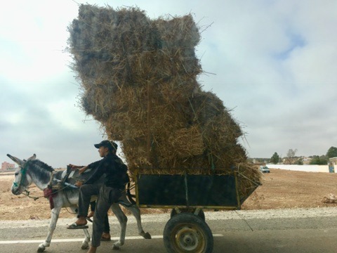 morocco roadtrip