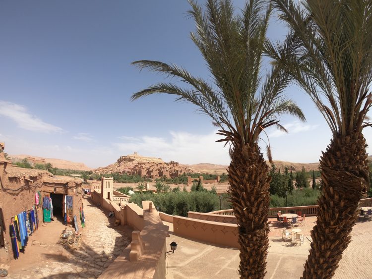 palm trees ait benhaddou