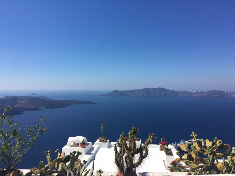 cactus santorini