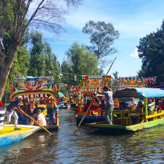 floating gardens xochimilco