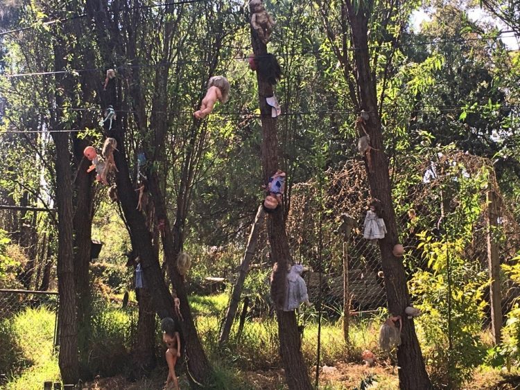 xochimilco weird dolls