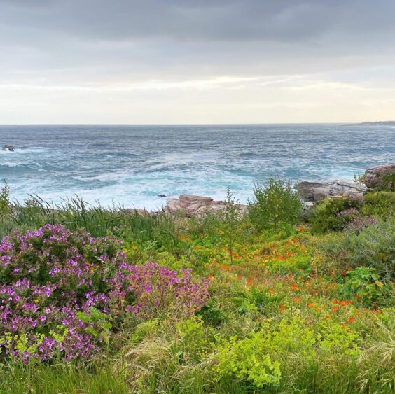 The Ultimate Garden Route Road Trip