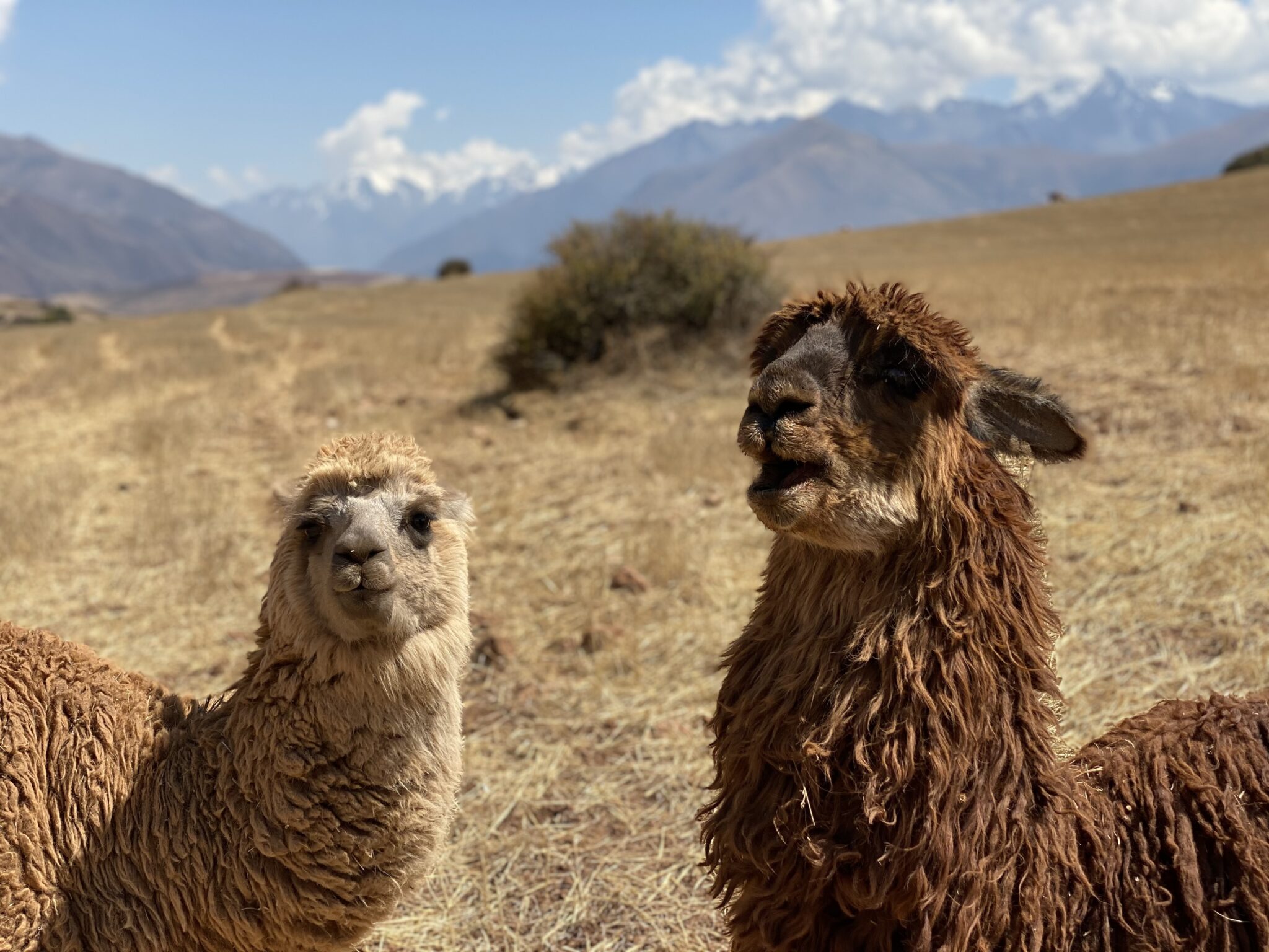 5 Reasons Why You Should Visit Baja – Gypsy Sols