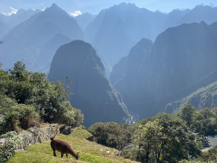 2 Weeks in Peru with a baby!